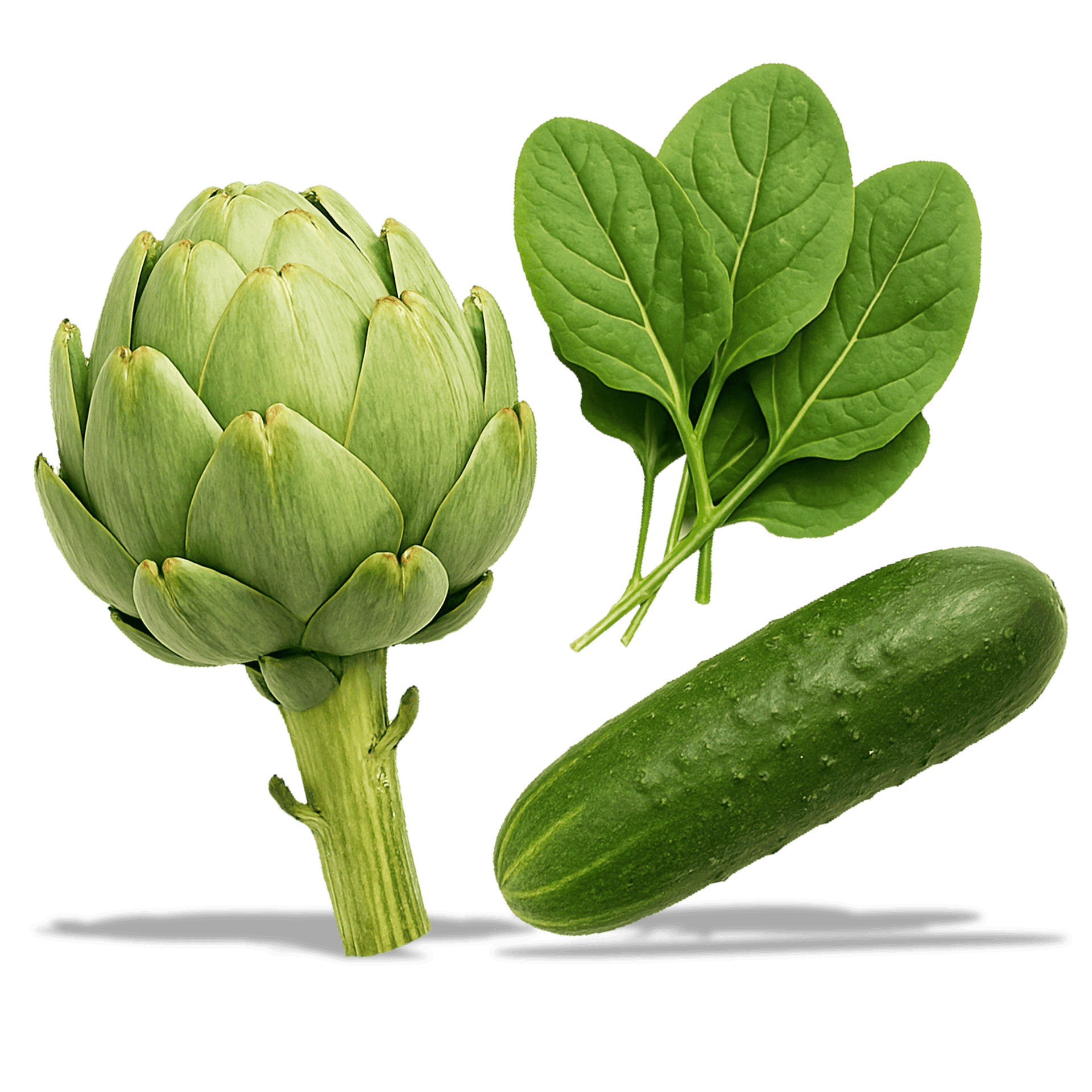 Ingredientes Sistema Health